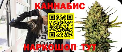 спиды Моздок