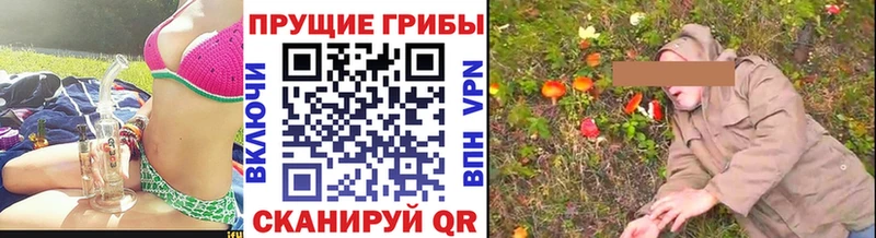 МЕГА ССЫЛКА  Нововоронеж  маркетплейс клад  Псилоцибиновые грибы прущие грибы 