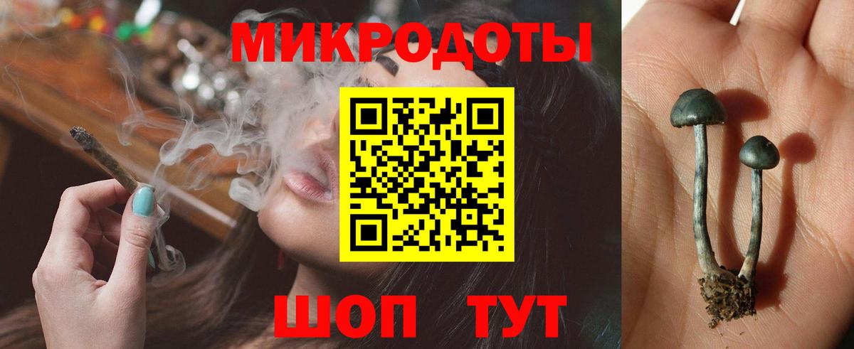 Псилоцибиновые грибы ЛСД  Вход с VPN  Псилоцибиновые грибы Psilocybine cubensis  Нововоронеж 